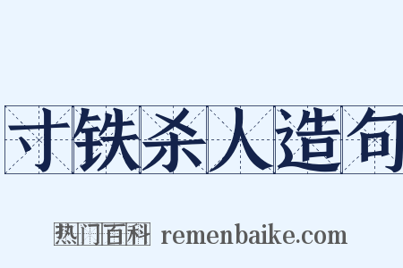 寸铁杀人造句是什么意思的图片